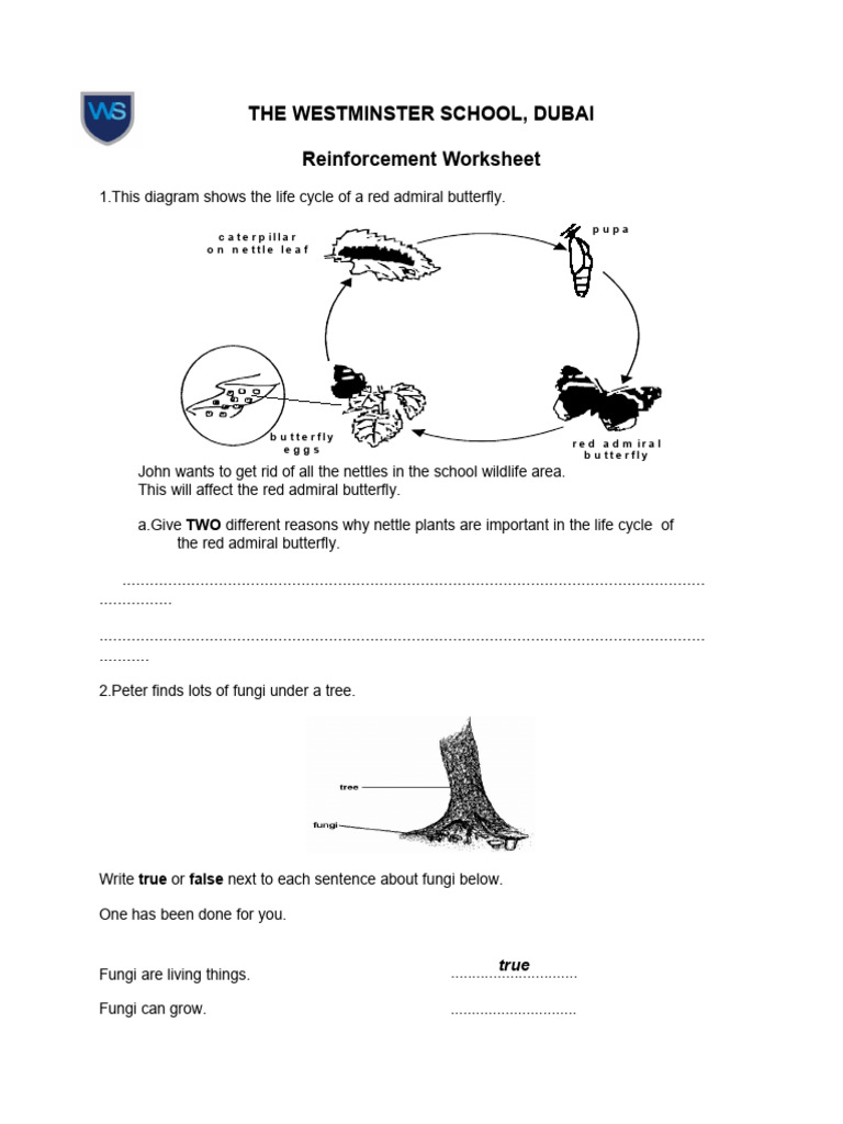 Reinforcement Worksheet Living Things and Their Habitat PDF
