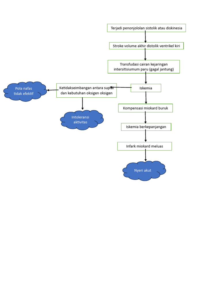 Pathway Chest Pain | PDF