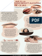 Micropigmentacion de Cejas PDF Saray Nieto