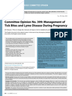 Lime Disease in Pregnancy