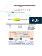 CONTENIDOS REPASO PARA JUNIO 2023 1 y 2º