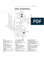 Tooth Anatomy Crossword (Unit 5,6)