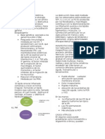 Artritis Reumatoide