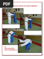 MCMAP Techniques Overview by Belt Level | PDF | Combat | Combat Sports