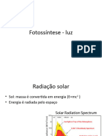 Fotossintese Luz Apresentacao 1