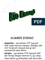 Bio Energi