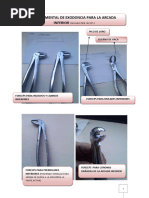 Forceps Dentales | PDF | Ramas de Odontología | Anatomia dental
