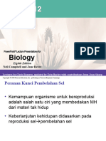 Chapter 12 The Cell Cycle