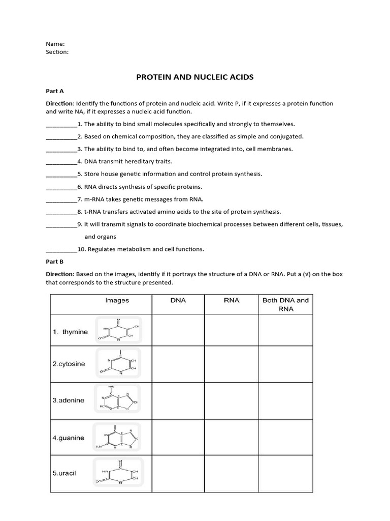 Proteins and Nucleic Acids PDF