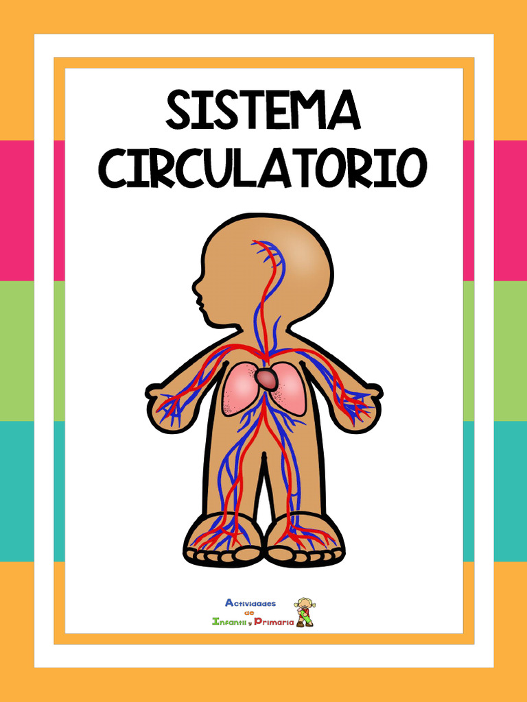 Sistemas del Cuerpo Humano para Niños | PDF
