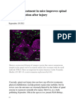 2022 09 Epigenetic Treatment Mice Spinal Cord