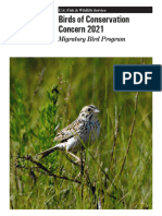 Birds of Conservation Concern 2021