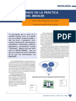 6848 Antimicrobianos en La Practica Veterinaria Del Broiler