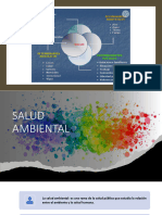 Clase 5 Salud Ambiental