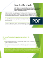 Apresentação1 PDF