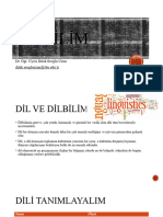 Dilbilime Giriş 1