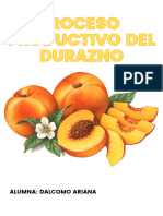 Proceso Productivo Del Durazno - 20230822 - 142005 - 0000