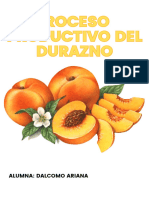 Proceso Productivo Del Durazno - 20230822 - 125402 - 0000
