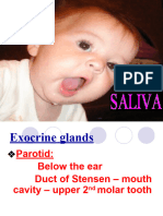 Salivary Glands For Paramedical Students