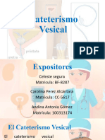 Cateterismo Vesical