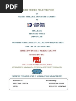 Download Report on Dena Bank by meetu_s_2000 SN67846667 doc pdf