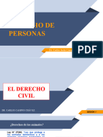 Derecho de Personas Sesion I