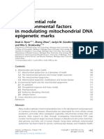 Chapter Five - The Potential Role of Environmental Factors in Modulating Mitochondrial DNA Epigenetic Marks