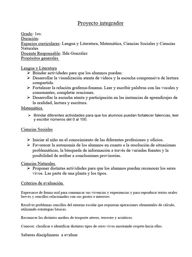 Proyecto integrador 1°- ILDA2021 | PDF
