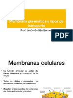 Membrana Plasmatica