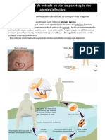 1ºperíodo Alcimar Microbiologia Texto Principais Rotas Entrada Vias Penetração Agentes Infecciosos 03-06