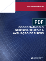 IPPF - Coord Ger Avaliacao Riscos