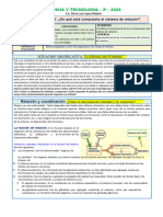 Sistemade Relacion y Coordinacion