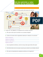 Actividad 5. Ciclo de La Nutrición