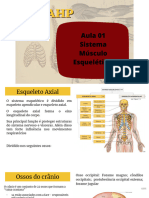 LAAHP Esqueleto Axial