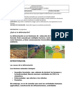 Guia de La Deforestacion - Dia Del Arbol