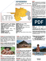 PDF Triptico Pueblos Indigenas de Venezuela - Compress