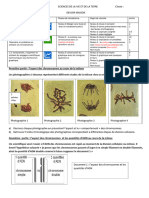 WP Contentuploadssites10420170316 17 3° Évaluation Mitose PDF