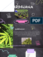 Qué es la marihuana?  National Institute on Drug Abuse (NIDA)