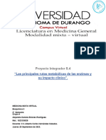 Proyecto Integrador S.4 Bioquimica 2