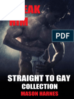Break Him - Straight To Gay Collection