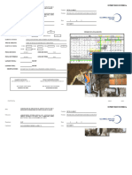 Formato de Pruebas Sanitrias PVC Satelite Ii