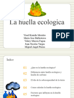 Huella Ecologica, Grupo 2