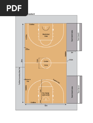 Basketball Court Standard
