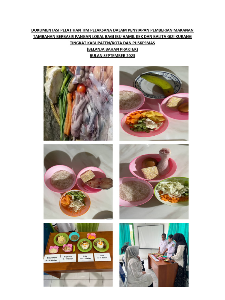 Dokumentasi PMT Lokal | PDF