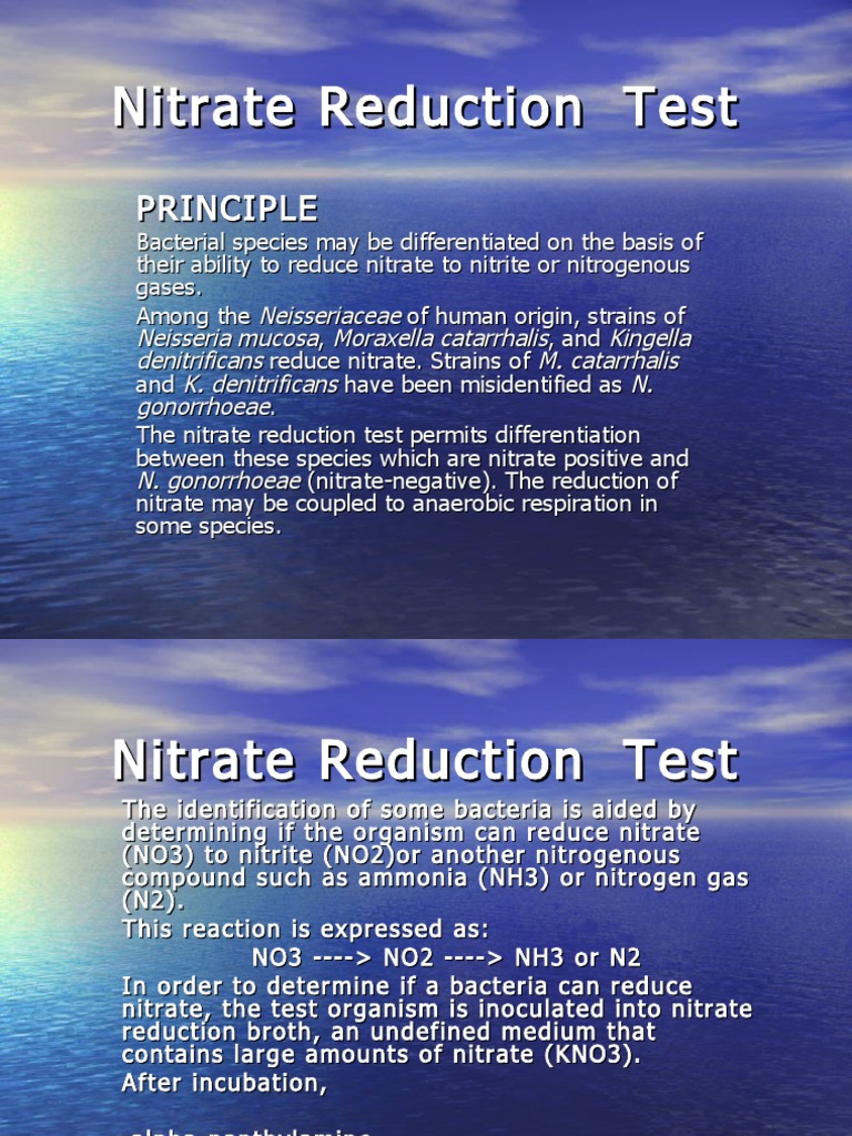 Biochemical Test PDF Nitrate Chemical Substances