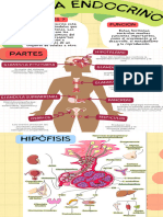 Sistemas Endocrino y Renal