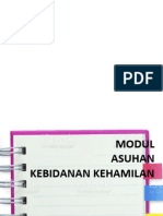 Asuhan Kebidanan Kehamilan Komprehensif