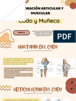 Codo y Muñeca - 1