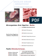 TEMA N°18 Familia Enterobacteriaceae Parte 1