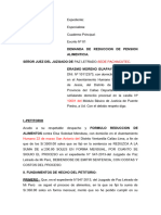 Reduccion de Pension de Alimentos Erasmo